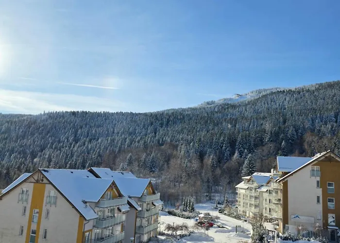 Czarna Gora 415 Daire 3*